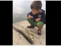 小男孩皺眉關心死魚...　下一秒遭魚尾「打臉」