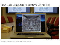 Google給AI電腦看影片　自學決定先認識「貓」
