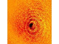 首見「原子陰影」　澳科學家：不可能有更小的影子了！