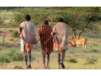【影】小偷的榮耀！非洲獵人從15隻餓獅爪下盜取水牛肉