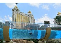 全球最長575米漂漂河！澳門萬豪酒店打造「透明水道」
