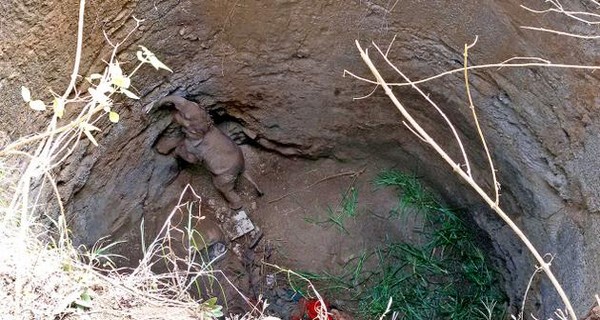 象宝宝堕井 印度村民挖挖挖救出 过程感人 | ET