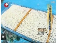 【影】5千顆乒乓球力大無窮　成功打撈150公斤手划船