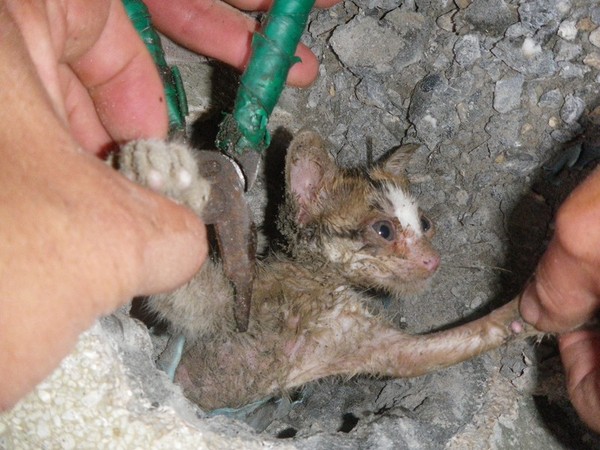钻磨机搭配老虎钳 高雄消防队打墙挖水管救出