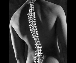 髓爱无国藉 慈济骨髓干细胞中心传散爱心 | ET