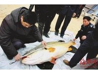 <em>藏钱胸罩</em> 福建少女昏睡网咖被摸光 | ETtoday大