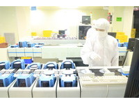 半導體後市展望佳 優選認購掌行情