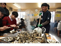 大鐵鏟送餐的松島烤牡蠣吃到飽　客人45分鐘狂嗑150顆