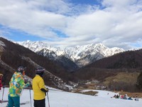 暖冬搗亂！野澤積雪0公分　日本滑雪場的野草比雪高