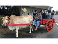 瓦棚搭牛車　感受昔日老農村的慢活時光