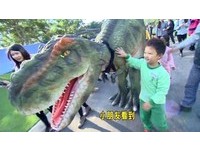 台中恐龍展經過會動+嘶吼　孩哭哭逃～恐龍嘆：熱死了