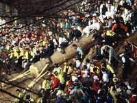 長野必去諏訪大社　看7年一次日本三大奇祭「御柱祭」