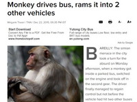 司機休息睡午覺　猴子竟把巴士開走
