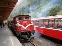 搭森林小火車駛入雲海　阿里山祝山線推樂活郵輪式列車