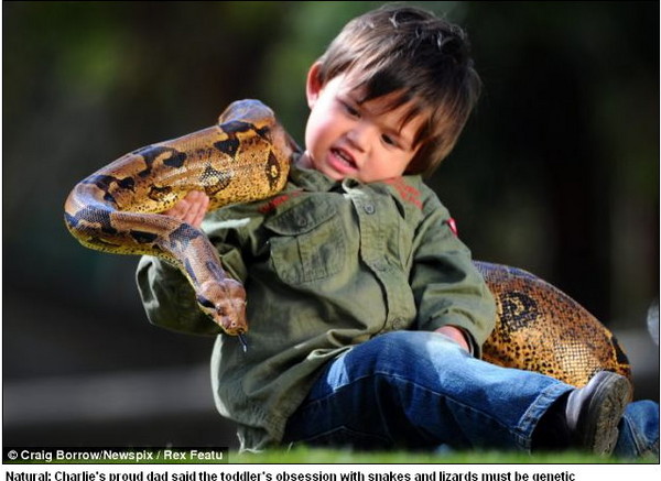两岁神童似懂「爬说语」 与巨蟒成好友大玩亲