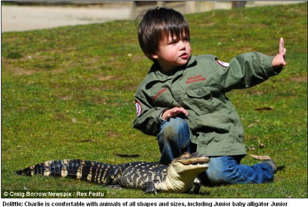 两岁神童似懂「爬说语」 与巨蟒成好友大玩亲