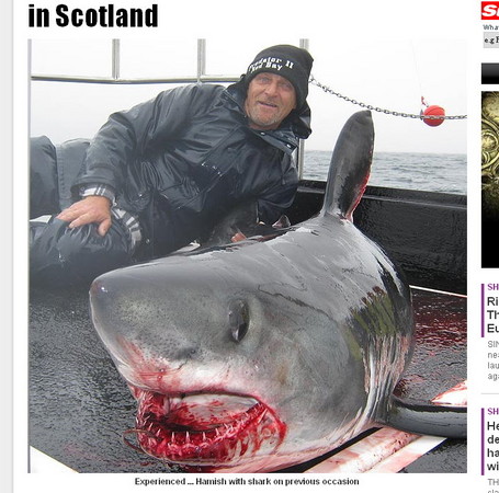 两公尺血口巨鲨反咬 钢头靴为渔夫保住一条腿!