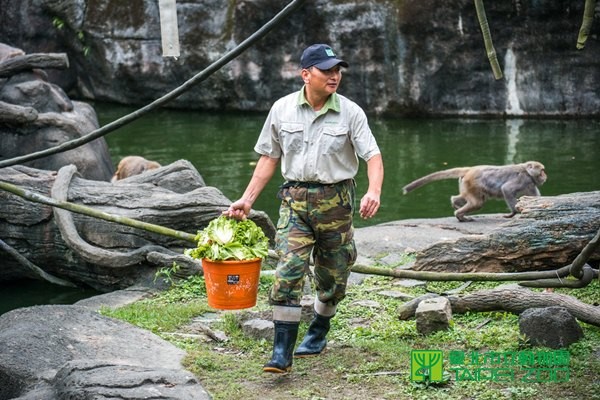 照顾台湾猕猴超过31年 保育员陈进明把握每个