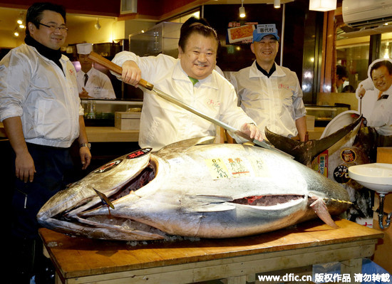黑鮪魚/秋刀魚捕撈配額/日本築地/黑鮪魚生魚片重金屬檢測結果