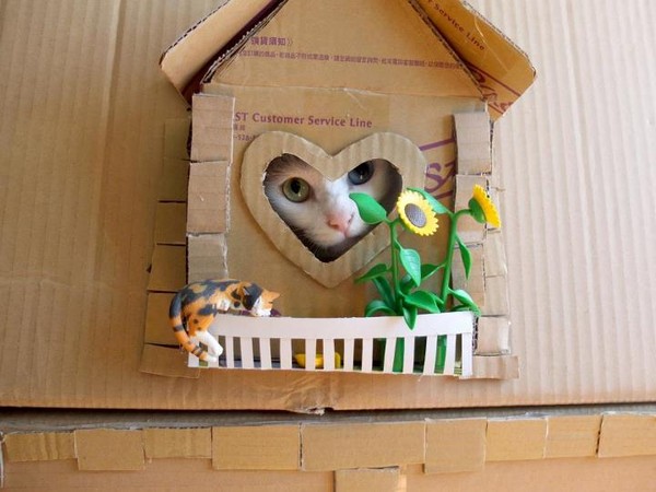 用纸箱做五层猫别墅