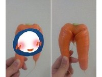 紅蘿蔔驚見「雌雄同體」　網友神回：有點攝護腺肥大！