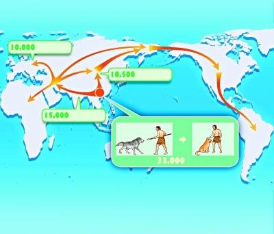 貓咪/貓咪圖書館/狗擴散到世界各地的遷徙路線圖/馴化年代，家