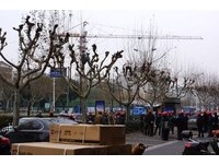 3工人修剪樹枝30工人旁圍觀　浙江園林局：缺一不可！