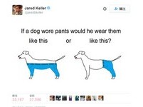 「狗狗穿褲子要穿2條還是4條腿？」　3萬網友超有共鳴