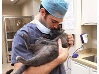 低頭親吻貓咪　「最性感獸醫」就愛跟「病患」拍照！