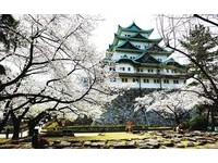 滿開的櫻花好浪漫！日本百大名城「名古屋城」