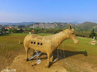台南牧場打造16米、5層樓高大型牧馬　空拍起來超壯觀