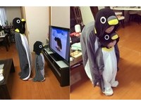 日本正太小兄弟穿企鵝裝爆紅　網友：姐姐願意等10年！
