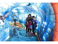 海豚跟熱帶魚身邊游　台灣燈會夢幻3D立體海洋隧道
