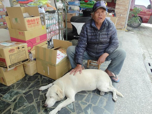 老人與狗/自閉兒與狗/台灣每年約有9萬隻家犬、3700隻家貓