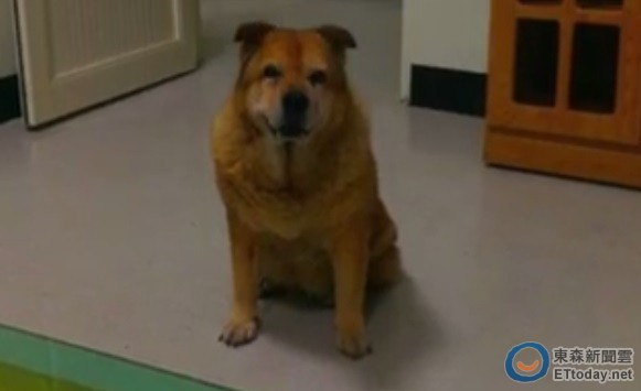 嘉义消防队17岁「毛毛」当天使 弟兄:约定一起