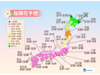 日本賞櫻必看！最新櫻花開花預測：東京21日、大阪27日