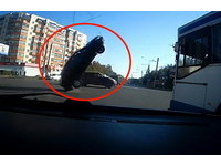 【影】俄國離奇「釣魚車禍」　車壓到電線被懸空吊起