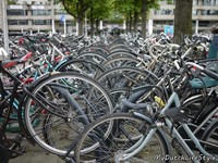 3歲就開始騎！荷蘭腳踏車王國　如何收納亮眼城市景觀