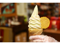 花蓮市區必吃「番薯冰淇淋」！有機地瓜製作散發天然香