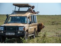 肯亞動物方程市！加入非洲大聯盟　住豪華帳篷探險獵奇