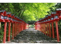 京都人推薦賞「青楓」4處最美地點：比紅葉還迷人啊！