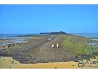 澎湖「摩西分海」淨灘活動　動員200人花2小時恢復潔淨