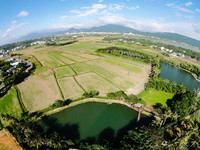台灣最南的有機稻作區　屏東彩稻節推「認穀」龍水米