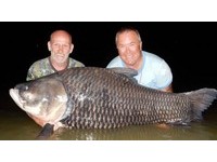靈異！英男用麻吉骨灰當魚餌　釣到82公斤的巨暹羅鯉