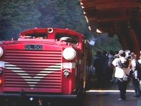 去膩了？自由行陸客不再愛阿里山、日月潭