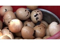 20萬普洱被保姆拿來煮蛋　陸網友：吃不起茶葉蛋是真的