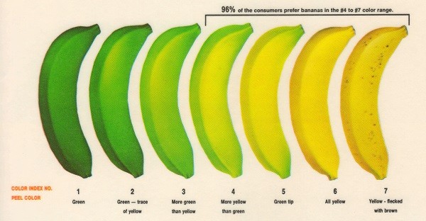 香蕉头尾绿色易致癌? 「果皮转色卡」让你秒懂真相