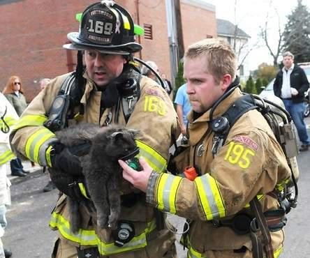 住家发生大火 消防队员救出17岁老猫 | ETtoda