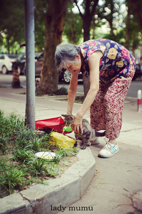爱心不分年龄!老婆婆手杵拐杖 仍坚持天天出门