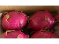 女大生到水果攤買「紅龍果」　朋友困惑..拆穿她是哪裡人